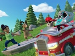 Replay Paw Patrol, la Pat'Patrouille - Cours de yoga à la montagne