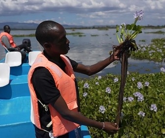 Replay Une nouvelle vie pour les plantes invasives au Kenya