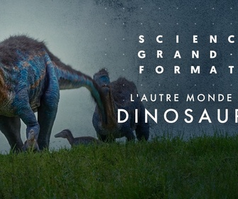 Replay Science grand format - L'autre monde des dinosaures