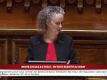 Replay 100% Sénat - Mixité sociale à l'école : un texte débattu au Sénat