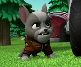 Replay Paw Patrol, la Pat'Patrouille - La Moto Patrouille : Madame Goodway sème la pagaille