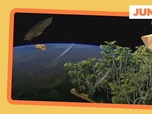 Replay La forêt sous l'œil d'un satellite - ARTE Journal Junior de lundi