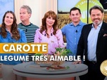 Replay VIP Very Important Paysans - La carotte, un légume très aimable !