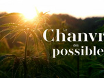 Replay Le chanvre des possibles