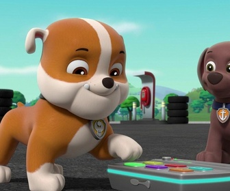 Replay Paw Patrol, la Pat'Patrouille - Mission camion : La Grande Vallée en danger