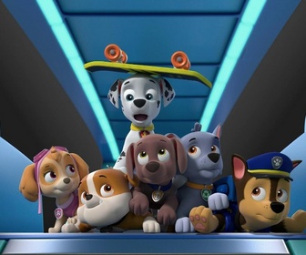 Replay Paw Patrol, la Pat'Patrouille - Au secours de Ryder