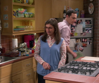 Replay The Big Bang Theory - S10E6 - Coup de pied fœtal et fièvre acheteuse