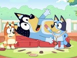 Replay Bluey - S1 E2 - A l'hôpital