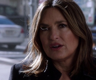 Replay New York Unité Spéciale - S21 E11 - Affichage public