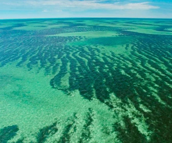 Replay Planète bleue - 24/12/2025
