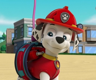 Replay Paw Patrol, la Pat'Patrouille - Le cygne gonflable