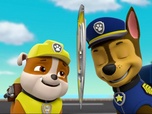 Replay Paw Patrol, la Pat'Patrouille - La baleine blanche