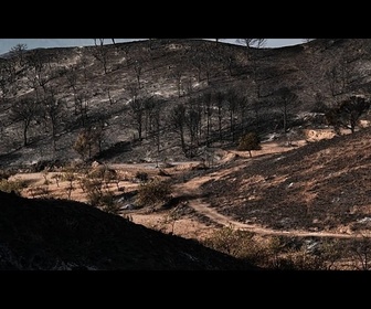 Replay Espagne centrale : les pompiers luttent contre un vaste incendie ravageant des milliers d'hectares