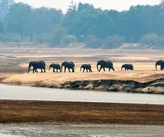 Replay Zambie, la vallée émeraude de la Luangwa - Les derniers paradis sauvages