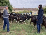 Replay Le goût des rencontres Nouvelle-Aquitaine - Tatin chèvre et poires à Marsais