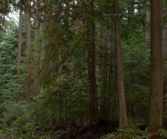 Replay Murder in a small town - S1 E1 - Les suspects