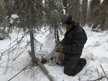 Replay Seuls face à l'Alaska - S4E8 - Cadence infernale