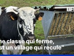 Replay ROBIN DE BFM - Des vaches inscrites à l'école, pour sauver une classe