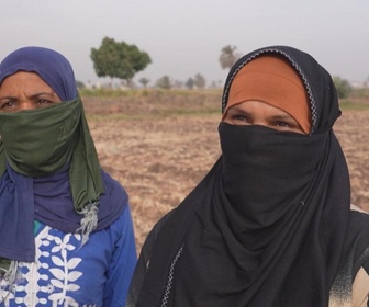 Replay ActuElles - En Egypte, près de 5 millions d'ouvrières agricoles sous-payées et sans contrat