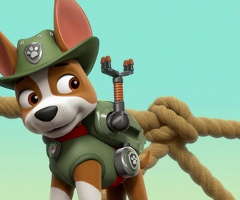 Replay Paw Patrol, la Pat'Patrouille - Le courrier du facteur