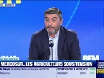 Replay Good Morning Business - Le Grand entretien : Tereos face à la chute du cours du sucre -13/11