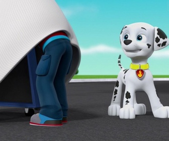 Replay Paw Patrol, la Pat'Patrouille - La machine à rétrécir