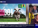 Replay Marschall Truchot Story - Story 5 : colère des agriculteurs, on remet ça ? - 12/02