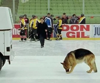 Replay Rex, chien flic - Dopage