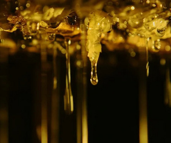 Replay Les maîtres des abeilles - Argentine, à la recherche du paradis