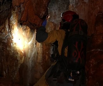 Replay ARTE Journal - Portugal: à la rencontre des animaux des cavernes