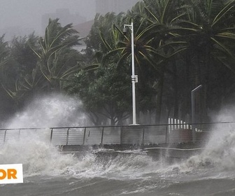 Replay Alerte tempête ! - ARTE Junior, le mag
