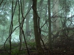 Replay Manhunt - S2 E7 - Éric