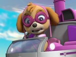 Replay Paw Patrol, la Pat'Patrouille - Les bébés autruches