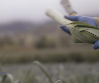Replay Paysans du monde - Californie : Full belly farm