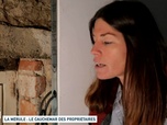 Replay Un jour, un doc week-end - La mérule : le cauchemar des propriétaires / Immobilier : propriétaires de plus en plus jeunes