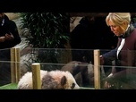 Replay La Première dame de France visite un centre de reproduction des pandas en Chine