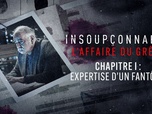 Replay Insoupçonnable, l'affaire du Grêlé - S1 E1 - Chapitre 1 : Expertise d'un fantôme