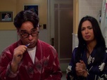 Replay The Big Bang Theory - S4E20 - Commérages et herbes aromatiques