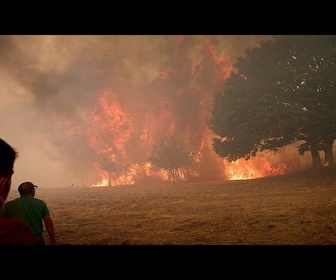 Replay Feux de forêt : une année noire pour l'Europe