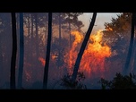 Replay Incendies : la France demande l'activation du mécanisme de protection civile de l'UE