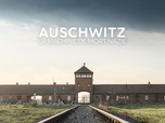 Replay Auschwitz, la machine de mort nazie