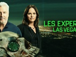 Replay Les experts : Las Vegas - S01 E04 - Un corps, un cochon et des aromates