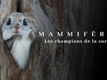 Replay Mammifères - 05/12/2025