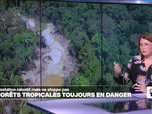 Replay Élément Terre, la quotidienne - La déforestation des forêts tropicales ralentit mais ne stoppe pas