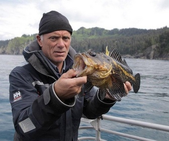 Replay River monsters - Le tueur glacé de l'Alaska