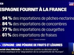 Replay Après les inondations en Espagne, y a-t-il un risque de pénurie de fruits et légumes? BFMTV répond à vos questions