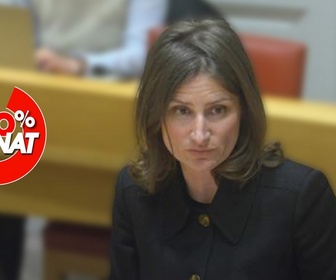 Replay 100% Sénat - Médias sur les plateformes : audition de Brut, Konbini et Loopsider