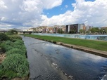 Replay Engagés pour le fleuve Besos à Barcelone - Des mains vertes pour la nature