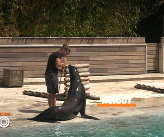 Replay Une saison au zoo - S12 E13