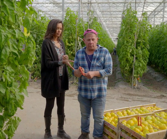 Replay Familles de paysans, 100 ans d'histoire - Partie 1